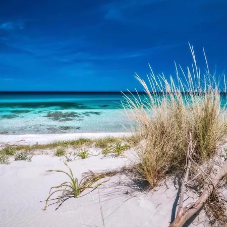 Le Residenze Blu Sardinia 4* 라 칼레타